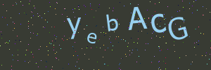 Validation image